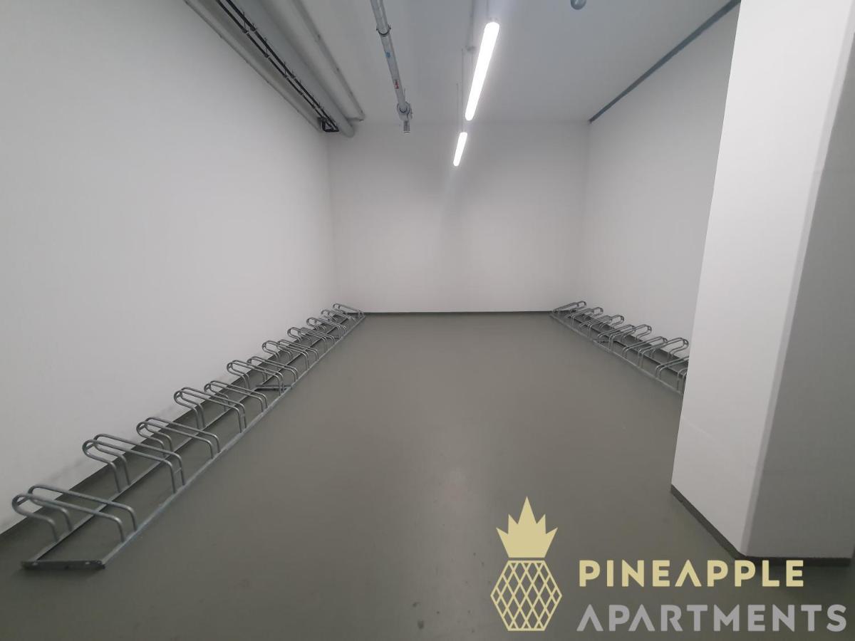 Pineapple Apartments Penthouse Am Zwinger - 162 Qm - 1X Free Parking Dresden Ngoại thất bức ảnh